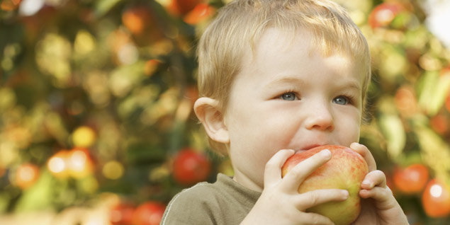 Aprender a comer