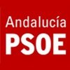 La situación del PSOE andaluz, crítica de cara a las próximas elecciones autonómicas