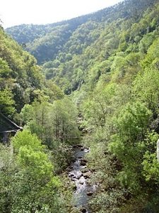 Mil hectáreas ardidas en Galicia