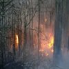 Mil hectáreas ardidas en Galicia
