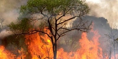 Majadahonda previene los incendios