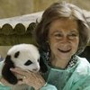 Las crías de osos panda ya cumplen dos años