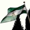 Andalucía solicita 4900 Millones € al FLA