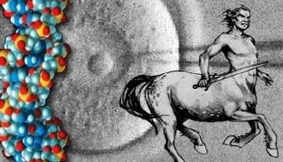 Avances en la creación de embriones