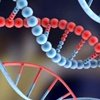 Curiosidades de la naturaleza: La fecha de caducidad del ADN