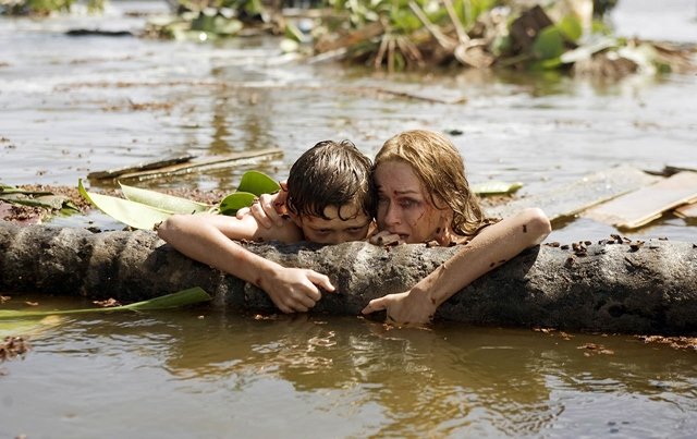 Lo imposible, la película más vista del año