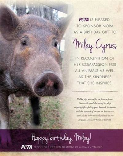 Un cerdo para Miley Cyrus