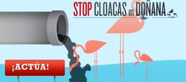 Las aguas de Doñana contaminadas