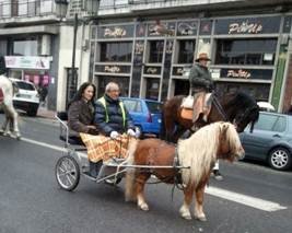 San Antón : El patrón de los Animales