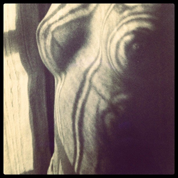 La foto de la polémica