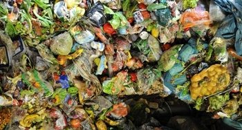 Más de la mitad de la comida que se produce acaba en la basura