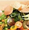 Más de la mitad de la comida que se produce acaba en la basura