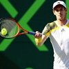 Ferrer , único español en las semifinales de Miami
