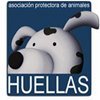 Alarmante incremento de abandono de mascotas en Ávila