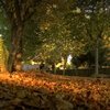 Tres itinerarios didácticos para disfrutar nuestro patrimonio natural