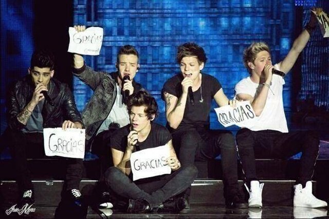 One Direction arrasa en Madrid