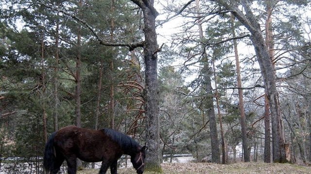 España es ya el nº 2 en Reservas de la Biosfera