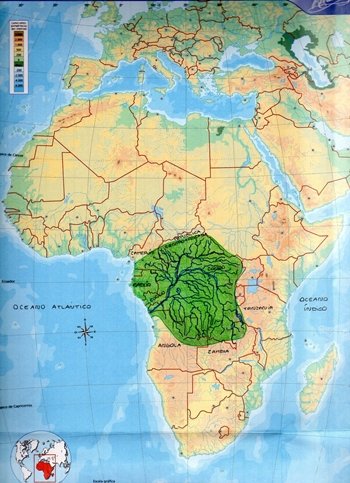 Curiosidades de la Naturaleza : Selva y lluvia