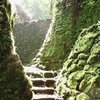 Hayan dos 'ciudades pérdidas' en Honduras