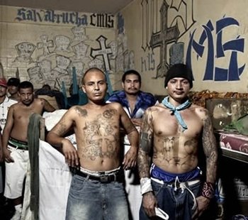 Paz a cambio de reinserción