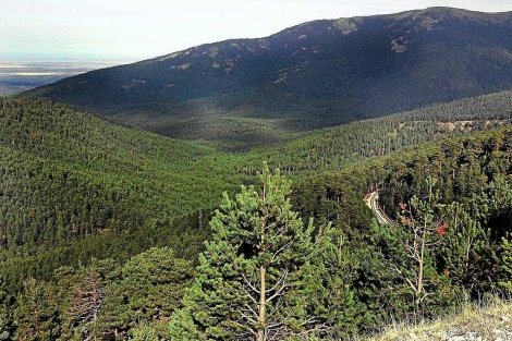 González ve en la naturaleza una oportunidad económica