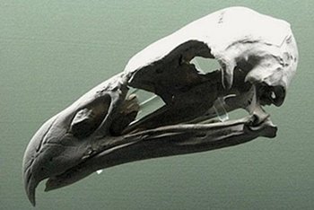 Una leyenda muy real