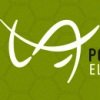 PortAmérica estrena aplicación móvil