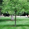 La peor primavera en años