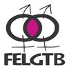 La LGTB 'premia' al Ministro de Interior