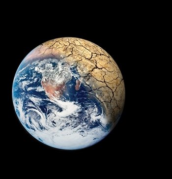 Ahora sí liderará la lucha