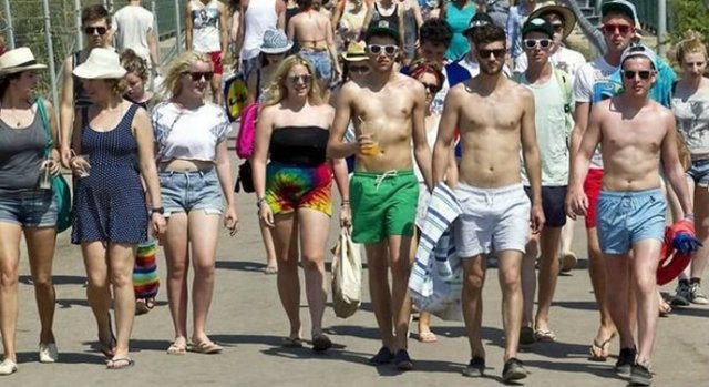 Vuelve el FIB