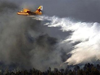 El incendio de Mallorca deja un pueblo fantasma y un daño medioambiental de 80 años