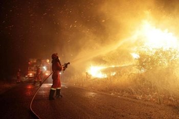 Hay un terrorista medioambiental en Madrid