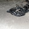 Dos adolescentes rusas juegan con la cabeza del vagabundo que han decapitado