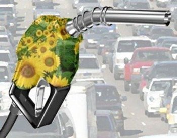 Obtener biocombustibles será ahora más fácil y más ecológico