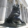 Sólo 15 diputados tendrán coche propio del Congreso