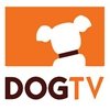 DogTV , un canal sólo para perros