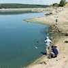Mueren 3.000 peces en Fuentes Claras