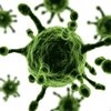 Manipularán el H7N9 para evitar una pandemia