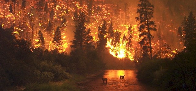 La 'peor semana' del mejor año de la década