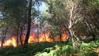 Otro incendio más