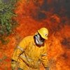 La 'peor semana' del mejor año de la década