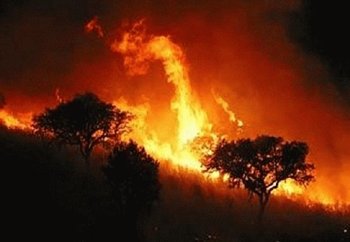 La 'peor semana' del mejor año de la década