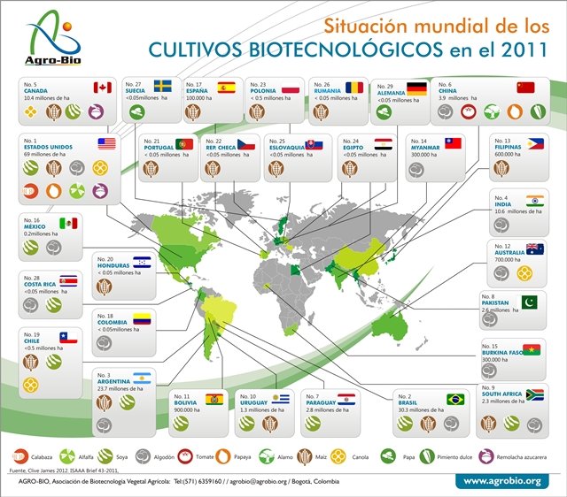 España, último bastión de transgénicos en Europa