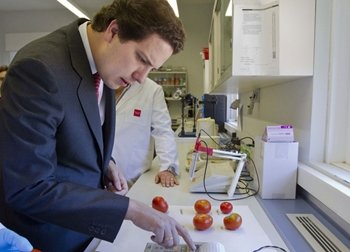 Madrid recupera sus tomates