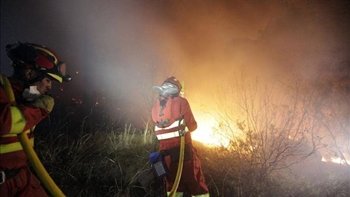 'Extinguido' el incendio  de  Cebreros  