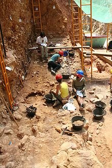 Se descubre la mayor diversidad de anfibios y reptiles fósiles jamás documentados en Atapuerca