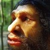¿Por qué se extinguió el hombre de Neandertal ?