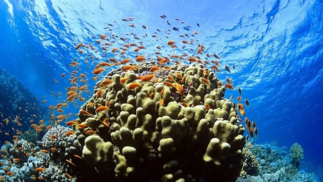 El Cambio Climático 'tiene' un 'nuevo color'