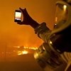 Galicia arde
